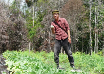 Langkanya Pupuk Bersubsidi  DPRD Minta Pemprov Turun Tangan