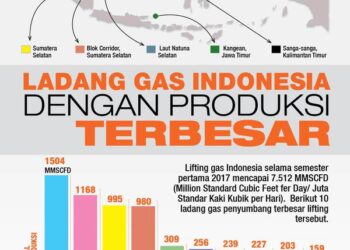 Blok Mahakam dan blok Berau Penyumbang Gas Terbesar Untuk Indonesia