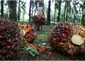 Sektor Agribisnis Potensinya Terus Meningkat