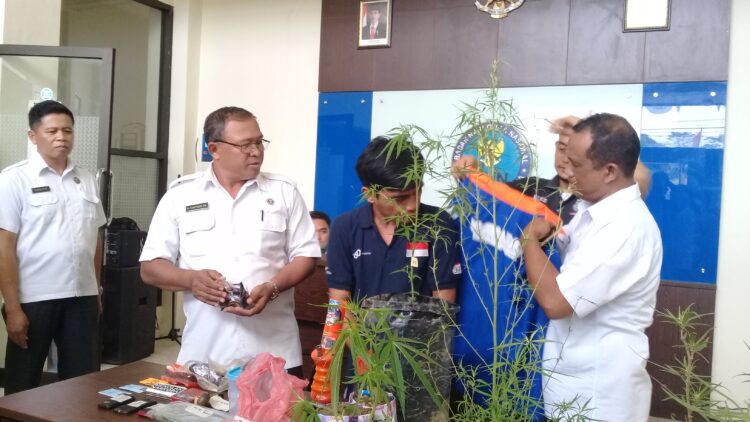Tanam Ganja di Pekarangan, Dua Warga Kukar Ditangkap