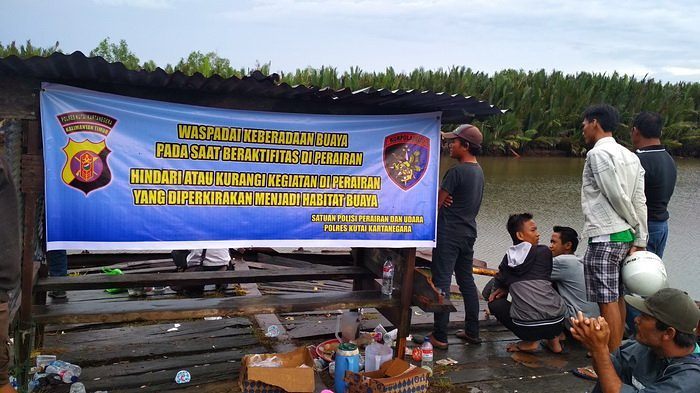 Terkam Dua Warga Muara Jawa, Buaya Diburu