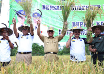Bantu 1,8 Ton Bibit dan 15 Ton Pupuk untuk Petani