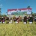 Gubernur Panen Raya Padi di Sebatik Timur