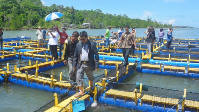 Gubernur Minta Pemkot Serahkan Pengelolaan UPT Perikanan ke Pemprov Kaltara