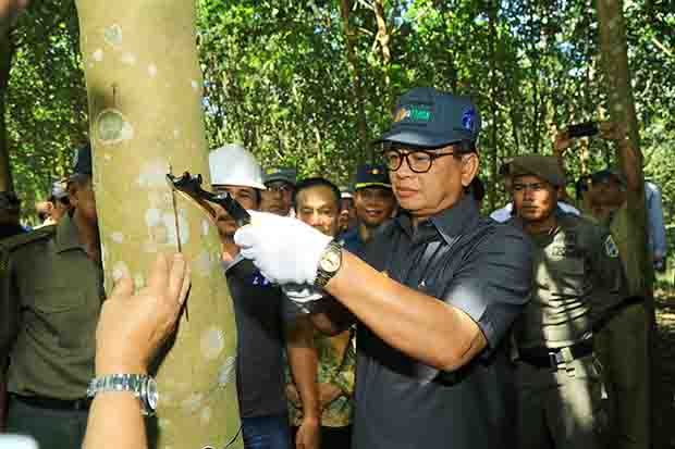 Gubernur Dorong Perusahaan Bangun Pabrik Pengolahan