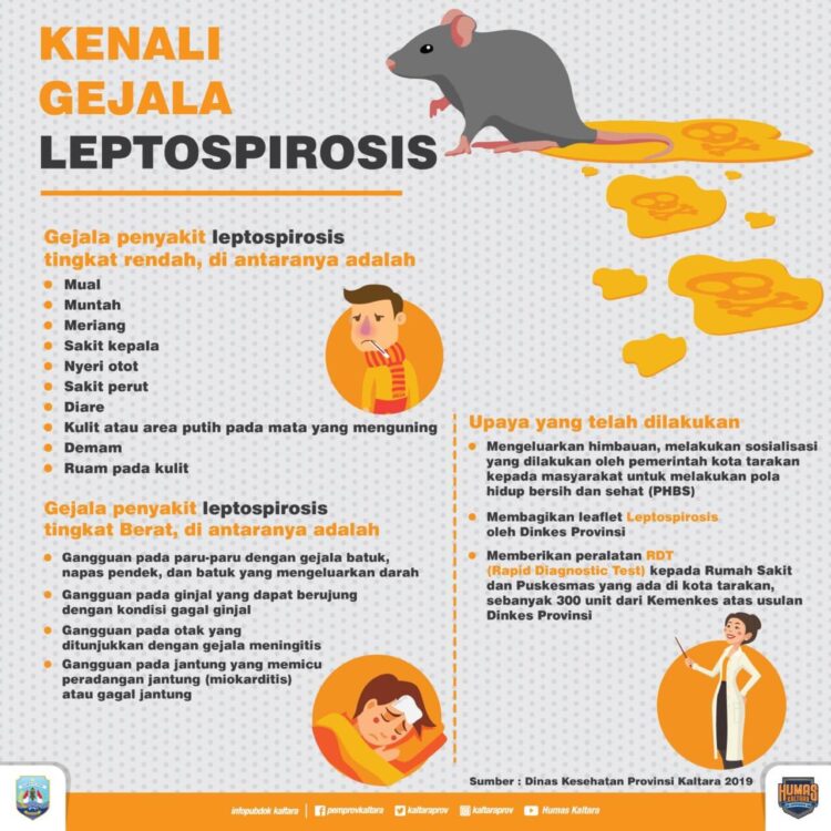 Cegah Leptopirosis, Pemprov Berikan Bantuan 300 RDT