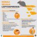 Cegah Leptopirosis, Pemprov Berikan Bantuan 300 RDT
