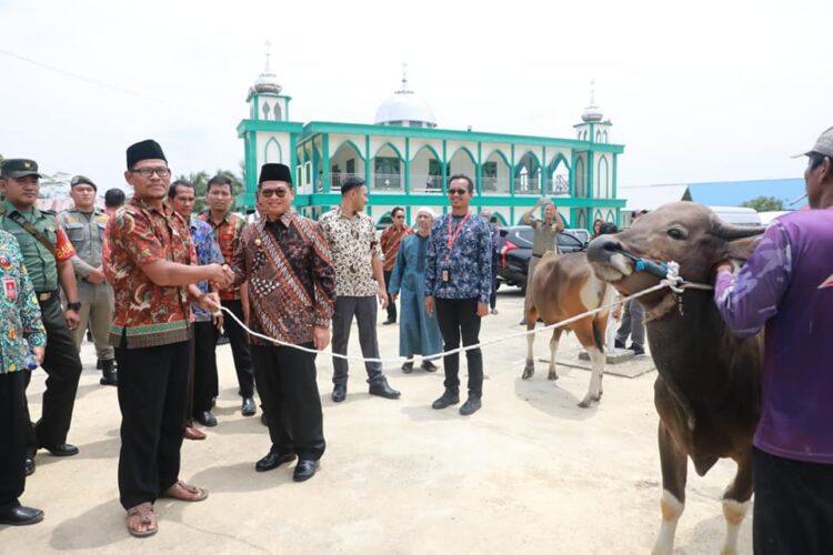 Idul Adha Tahun Ini, Pemprov Siapkan 7 Sapi Kurban