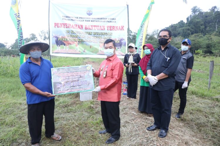 Pjs Gubernur Serahkan Bantuan Ternak Sapi