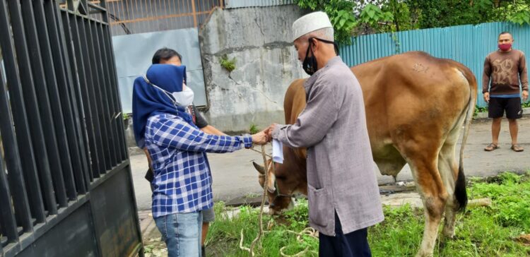 Peringati Idul Adha 1442 H, DPW Partai NasDem Kaltim Laksanakan Pemotongan Hewan Qurban