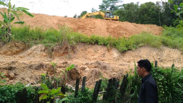 DPRD Minta Satpol PP tindak tegas Kasus Pengupasan Lahan yang tidak Berijin