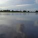 Terendam, 100 Hektare Sawah di Desa Ini Gagal Panen