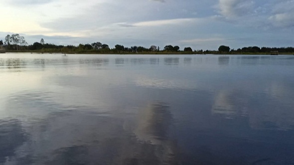 Terendam, 100 Hektare Sawah di Desa Ini Gagal Panen
