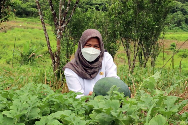 Yana Sebut Hortikultura Merupakan Produk Yang Dibutuhkan Secara Berkelanjutan